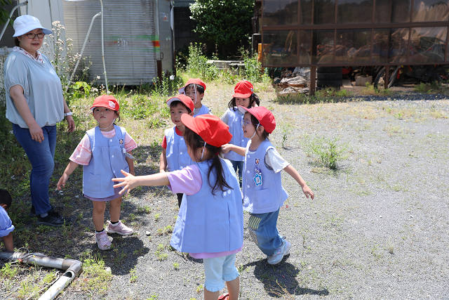 202605Cmaruyama0639.jpg