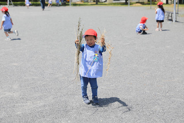 202605Cmaruyama0641.jpg