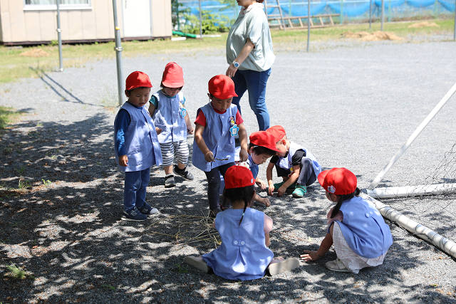 202605Cmaruyama0650.jpg