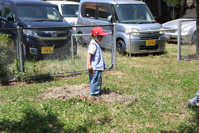 202605Cmaruyama0658.jpg