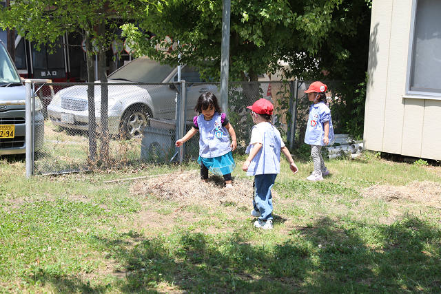 202605Cmaruyama0662.jpg