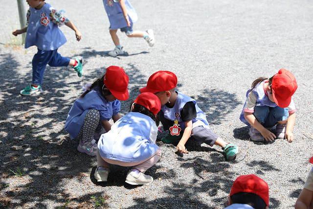 202605Cmaruyama0663.jpg