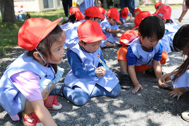 202605Cmaruyama0666.jpg