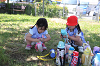 202605Cmaruyama0671_thumb.png