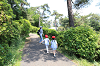 202605Bsiofune0769_thumb.png