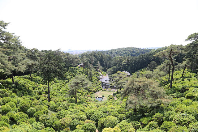 202605Bsiofune0795.jpg
