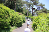 202605Ashiofune0170_thumb.png