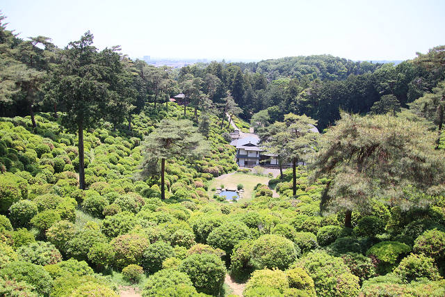 202605Ashiofune0218.jpg