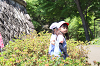 202605Ashiofune0234_thumb.png