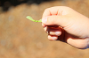 202605Ashiofune0308_thumb.png