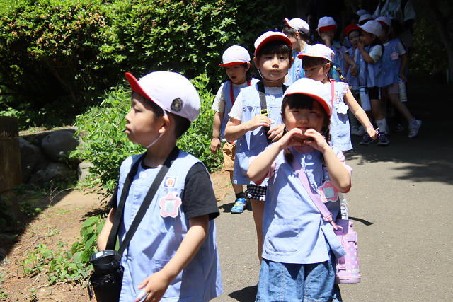 202605Ashiofune0311.jpg