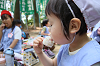 202605Ashiofune0451_thumb.png