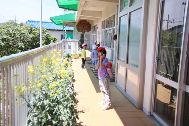 202605otanjo0022.jpg