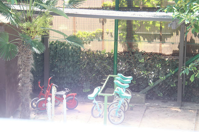 202605otanjo0026.jpg