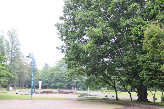 202605oyako0011.jpg
