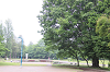 202605oyako0011_thumb.png