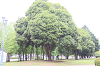 202605oyako0016_thumb.png