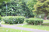 202605oyako0157_thumb.png