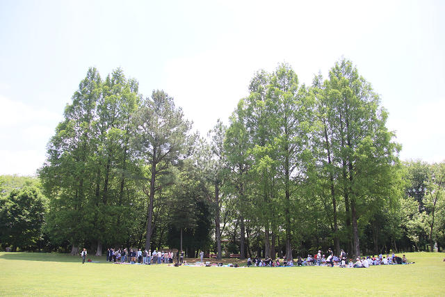 202605oyako0729.jpg