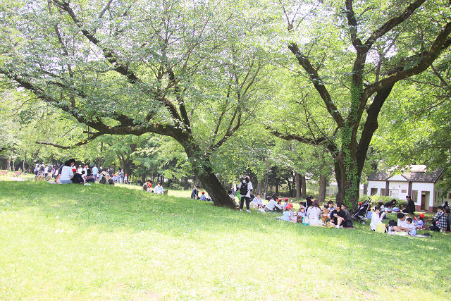 202605oyako0770.jpg