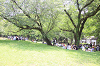 202605oyako0770_thumb.png