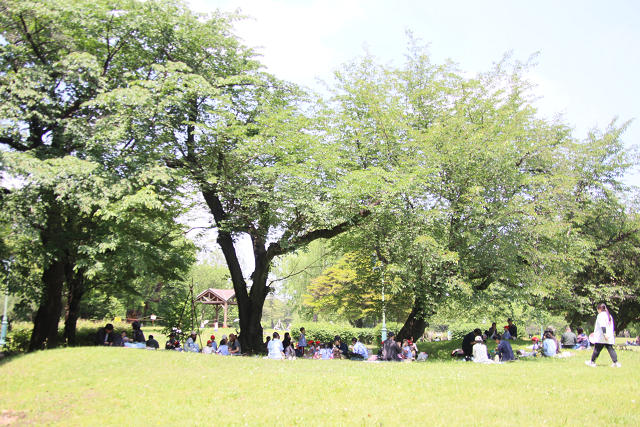 202605oyako0774.jpg