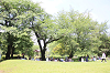 202605oyako0774_thumb.png