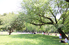 202605oyako1070_thumb.png