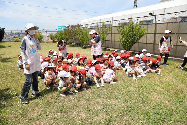 202606puruhiraki0305.jpg