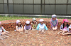 202606puruhiraki0327_thumb.png