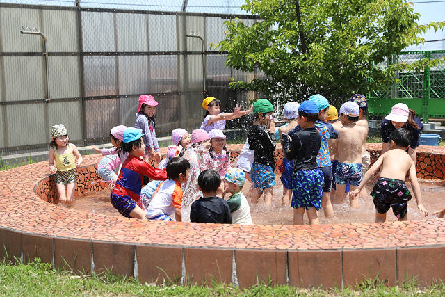 202606puruhiraki0335.jpg