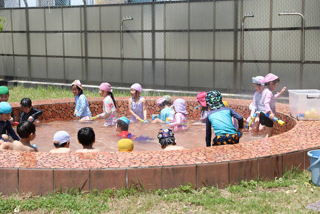 202606puruhiraki0339.jpg