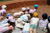 202606puruhiraki0356_thumb.png