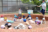 202606puruhiraki0361_thumb.png
