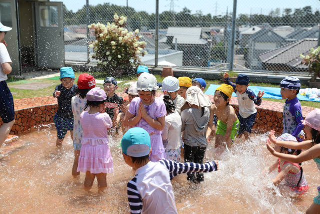 202606puruhiraki0365.jpg