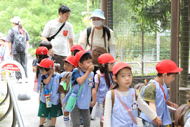 202606Bchikouzan0388.jpg