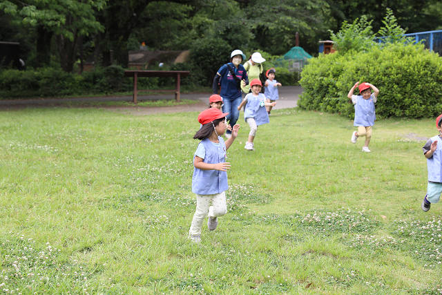 202606Bchikouzan0461.jpg