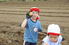 202606poteto0465_thumb.png