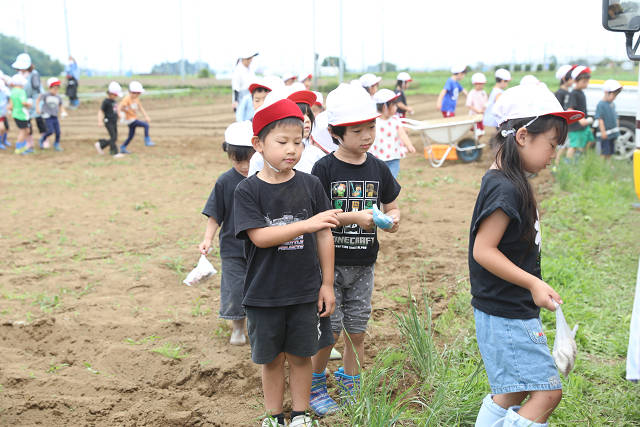 202606poteto0503.jpg