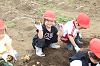 202606poteto0569_thumb.png