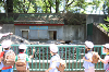 202606Ahamura0115_thumb.png