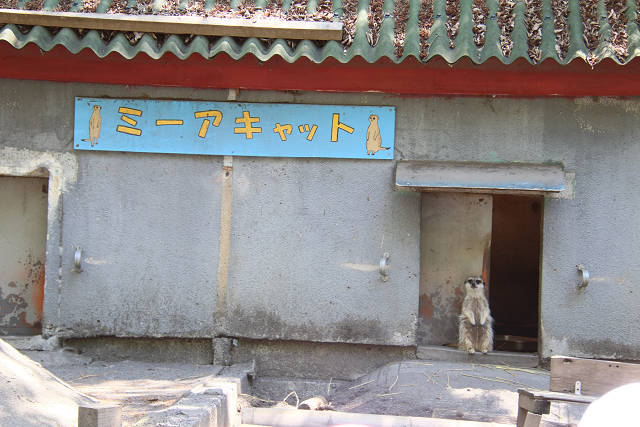 202606Ahamura0117.jpg