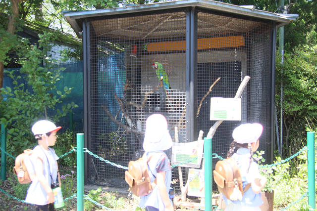 202606Ahamura0179.jpg