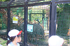 202606Ahamura0181_thumb.png