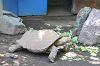 202606Ahamura0204_thumb.png