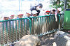 202606Ahamura0206_thumb.png