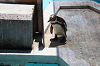 202606Ahamura0213_thumb.png