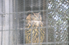 202606Ahamura0259_thumb.png