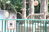 202606Ahamura0374_thumb.png