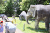 202606Ahamura0395_thumb.png